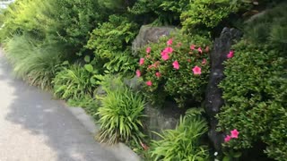 【野外】高尾山を歩いてみる１２