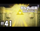 大いなる力【ゼルダの伝説 知恵のかりもの】41