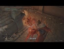 エルデンリング RMDライジングマストダイ侵入Part 13
