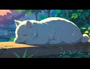 Lo-Fi BGM｜A light lost in time｜時の中に消えた光