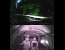 cd-30煽り運転する方2 (1440p)