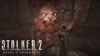 近い近い近い近いｗｗｗ【STALKER2】【HeartofChornobyl】【実況】#38
