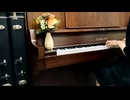 【Day39】-『空のひまわり』 薮崎太郎の一日一曲アンビエント