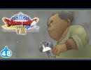 【DQ8＊実況】これが現状最後の初見で大冒険！第四十八章