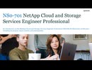 NS0-701 NetApp Cloud and Storage Services Engineer Professional Training Questions