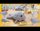 【100均DIY】アザラシ幼稚園！簡単あざらしぬいぐるみの作り方【1時間】