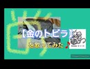【金のトビラ】を歌ってみた♪（声のみ）