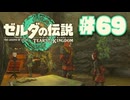 【ぽつぽつ実況 #69】回生【ティアーズオブザキングダム】