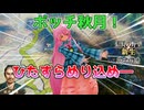 ＜信長の野望・新生PK＞これはのぶやぼ動画です？（秋月家第7話）