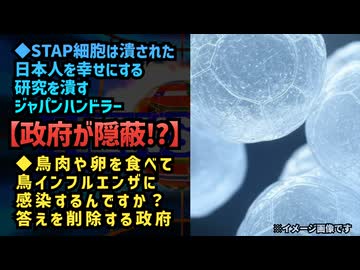 ◆STAP細胞は潰された。日本人を幸せにする研究を潰すジャパンハンドラー【政府が隠蔽？】◆鳥肉や卵を食べて人は鳥インフルエンザに感染するんですか？政府はその答えを消している