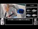 アリミリ姉妹の淡路島海釣り日記Part.22
