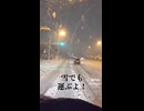 雪でも運ぶよ～