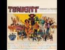 Ferrante & Teicher - Tonight