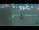 逆ワープ？【ゼルダの伝説 ブレスオブザワイルド】【ブレワイ】