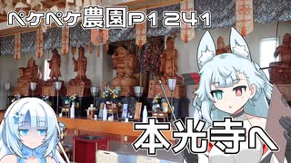 2025年1月15日　農作業日誌P1241　ちょっといろいろ移動したのちは本光寺へと行ってきたよ