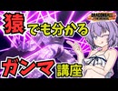 【ドラゴンボールザブレイカーズ】ガンマで勝てないあなたへ