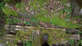 吊り橋　高所　古い木の吊り橋を渡ってみた〜恐怖〜