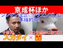 【京成杯2025】予想神「スガダイ」×プロ予想MAX四天王「霧」の注目馬大公開！