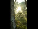 LOFI風 森のささやき、音楽の風