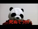 節約パンダ_１日1,000円生活 【116日目】