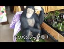 節約パンダ_１日1,000円生活 【139日目】