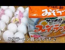 節約パンダ_１日1,000円生活 【144日目】