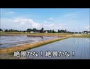 節約パンダ_１日1,000円生活 【150日目】