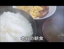 節約パンダ_１日1,000円生活 【151日目】