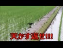 節約パンダ_１日1,000円生活 【158日目】