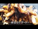 節約パンダ_１日1,000円生活 【164日目】