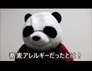 節約パンダ_１日1,000円生活 【174日目】