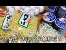 節約パンダ_１日1,000円生活 【186日目】