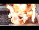節約パンダ_１日1,000円生活 【193日目】
