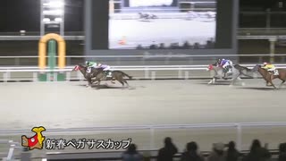 第27回新春ペガサスカップ カワテンマックス