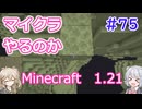 【minecraft】#75マイクラやるのか_エンドシティ【1.21】【小春六花・春日部つむぎ実況】