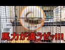 散財パンダ 毎日贅沢生活 【010日目】