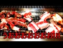 散財パンダ 毎日贅沢生活 【033日目】