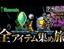 【全アイテム集め旅】たまには0時過ぎることもある作業動画【テラリア】DAY33