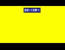 跳弾少女姉貴YB