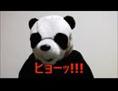 減量パンダ_１日１食生活 【013日目】