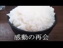 減量パンダ_１日１食生活 【016日目】