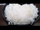 減量パンダ_１日１食生活 【022日目】