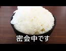 減量パンダ_１日１食生活 【026日目】