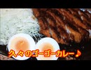 減量パンダ_１日１食生活 【036日目】
