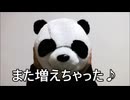 減量パンダ_１日１食生活 【039日目】