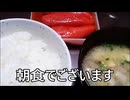 減量パンダ_１日１食生活 【045日目】