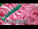 減量パンダ_１日１食生活 【047日目】