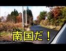 減量パンダ_１日１食生活 【048日目】