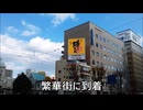 減量パンダ_１日１食生活 【049日目】