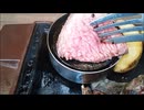 減量パンダ_１日１食生活 【050日目】